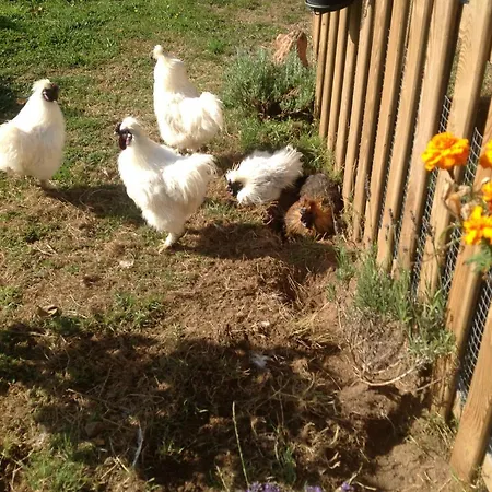 La Ville - Les Petits Champs Buais-les-Monts