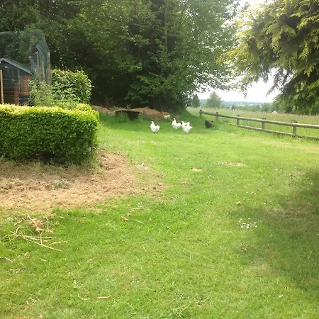 La Ville - Les Petits Champs