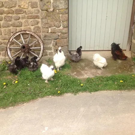 Bed & Breakfast La Ville - Les Petits Champs Buais-les-Monts