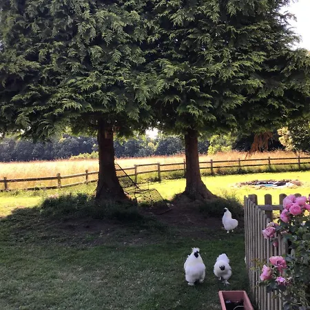 Bed & Breakfast La Ville - Les Petits Champs Buais-les-Monts