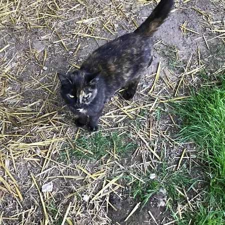 La Ville - Les Petits Champs Bed & Breakfast