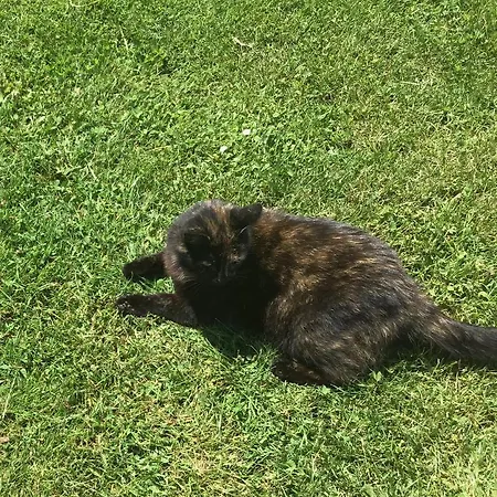 La Ville - Les Petits Champs Bed & Breakfast