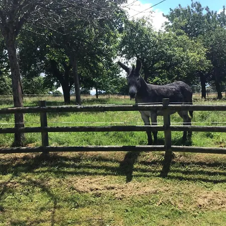 La Ville - Les Petits Champs *