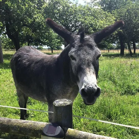 La Ville - Les Petits Champs *