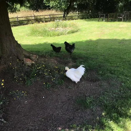 La Ville - Les Petits Champs Bed & Breakfast Buais-les-Monts