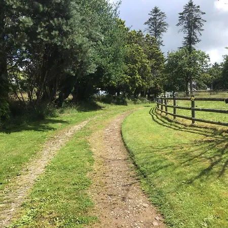 La Ville - Les Petits Champs *