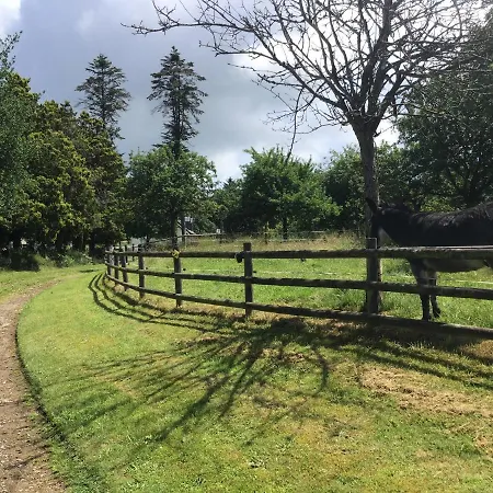 La Ville - Les Petits Champs Bed & Breakfast