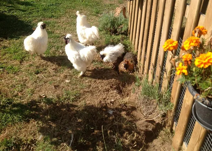 La Ville - Les Petits Champs Buais-les-Monts