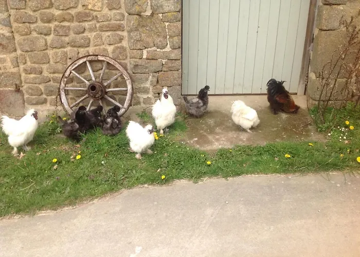 Bed & Breakfast La Ville - Les Petits Champs Buais-les-Monts