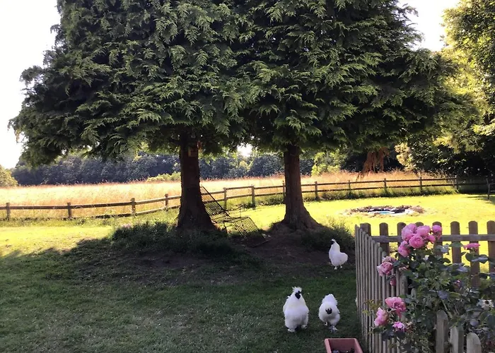 Bed & Breakfast La Ville - Les Petits Champs Buais-les-Monts