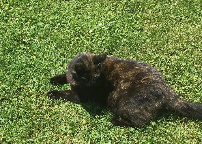 La Ville - Les Petits Champs Bed & Breakfast