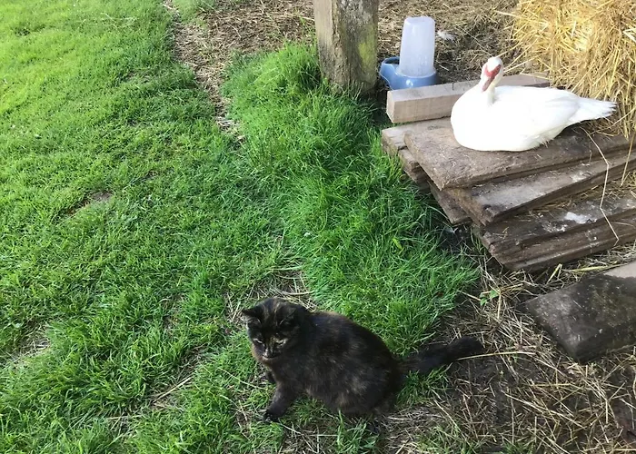 La Ville - Les Petits Champs Bed & Breakfast Buais-les-Monts