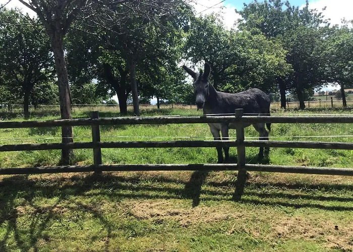 La Ville - Les Petits Champs *