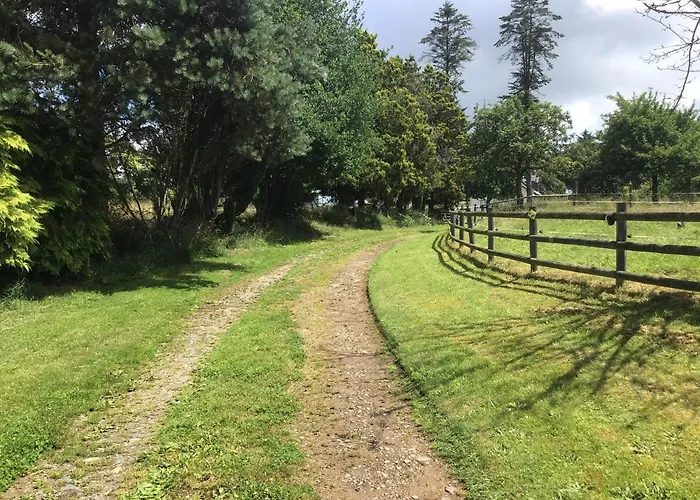 La Ville - Les Petits Champs *