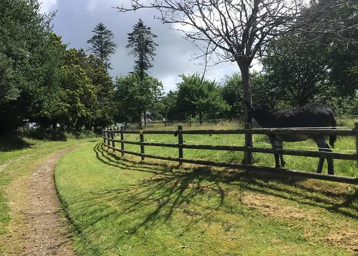 La Ville - Les Petits Champs Bed & Breakfast