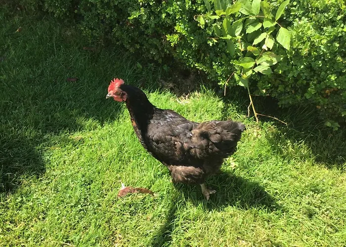 La Ville - Les Petits Champs