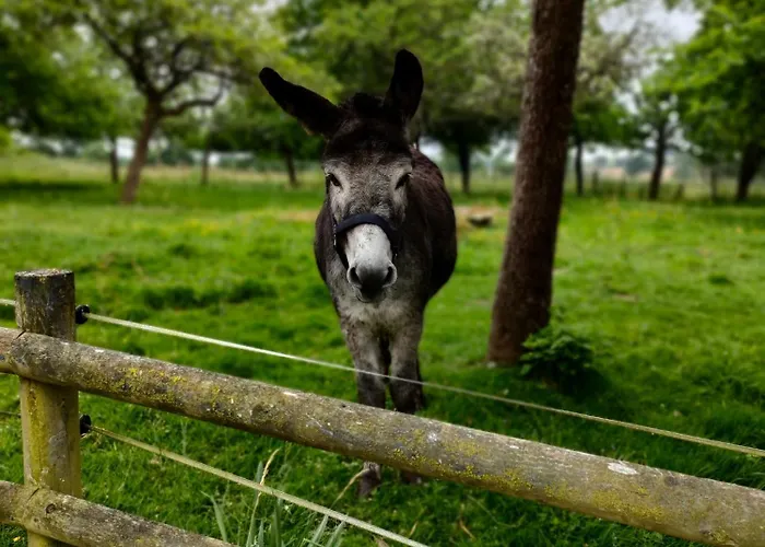 La Ville - Les Petits Champs Buais-les-Monts